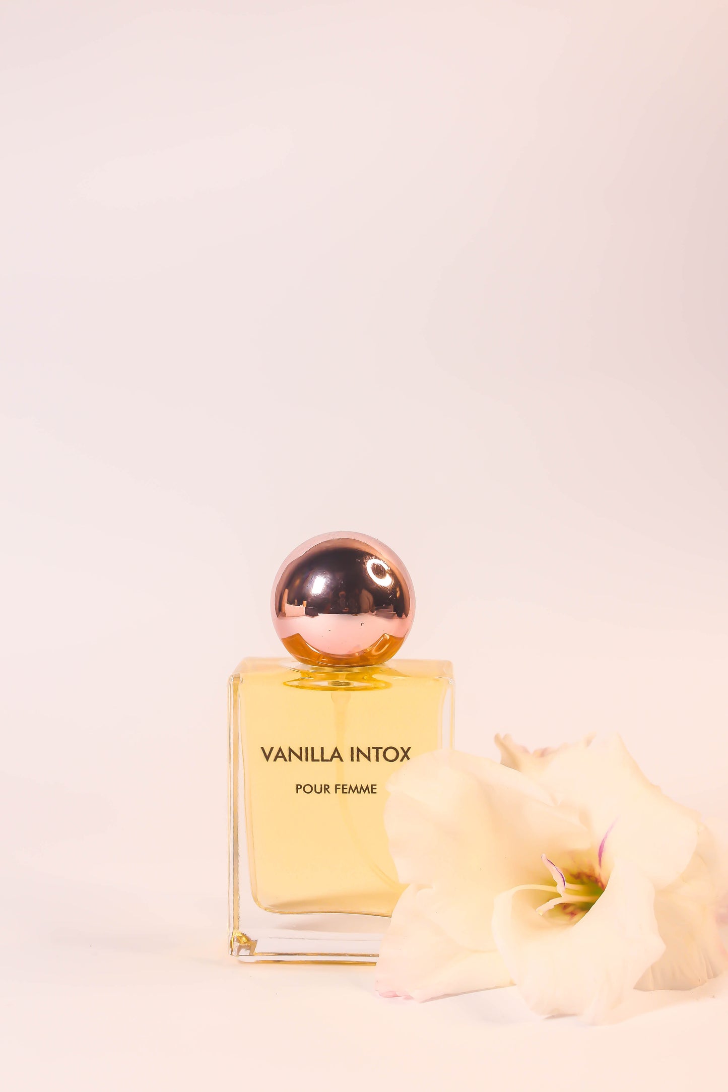 Vanilla Intox - Inspired by Valentino Donna X Halloween by Jesus del Pozo