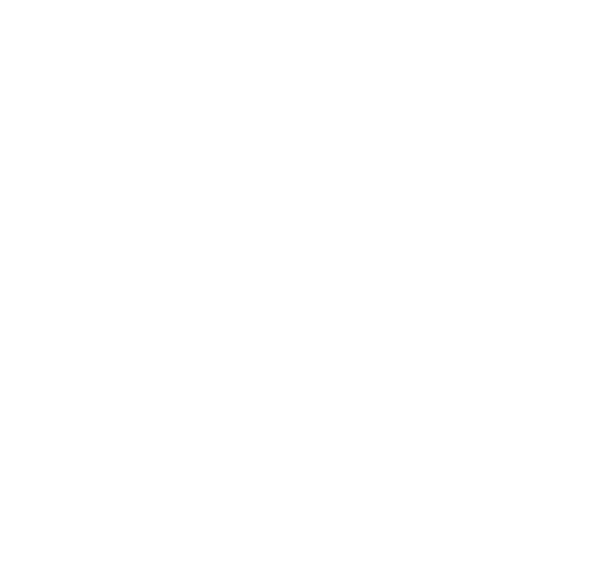 The Stellare Pegasus lockup