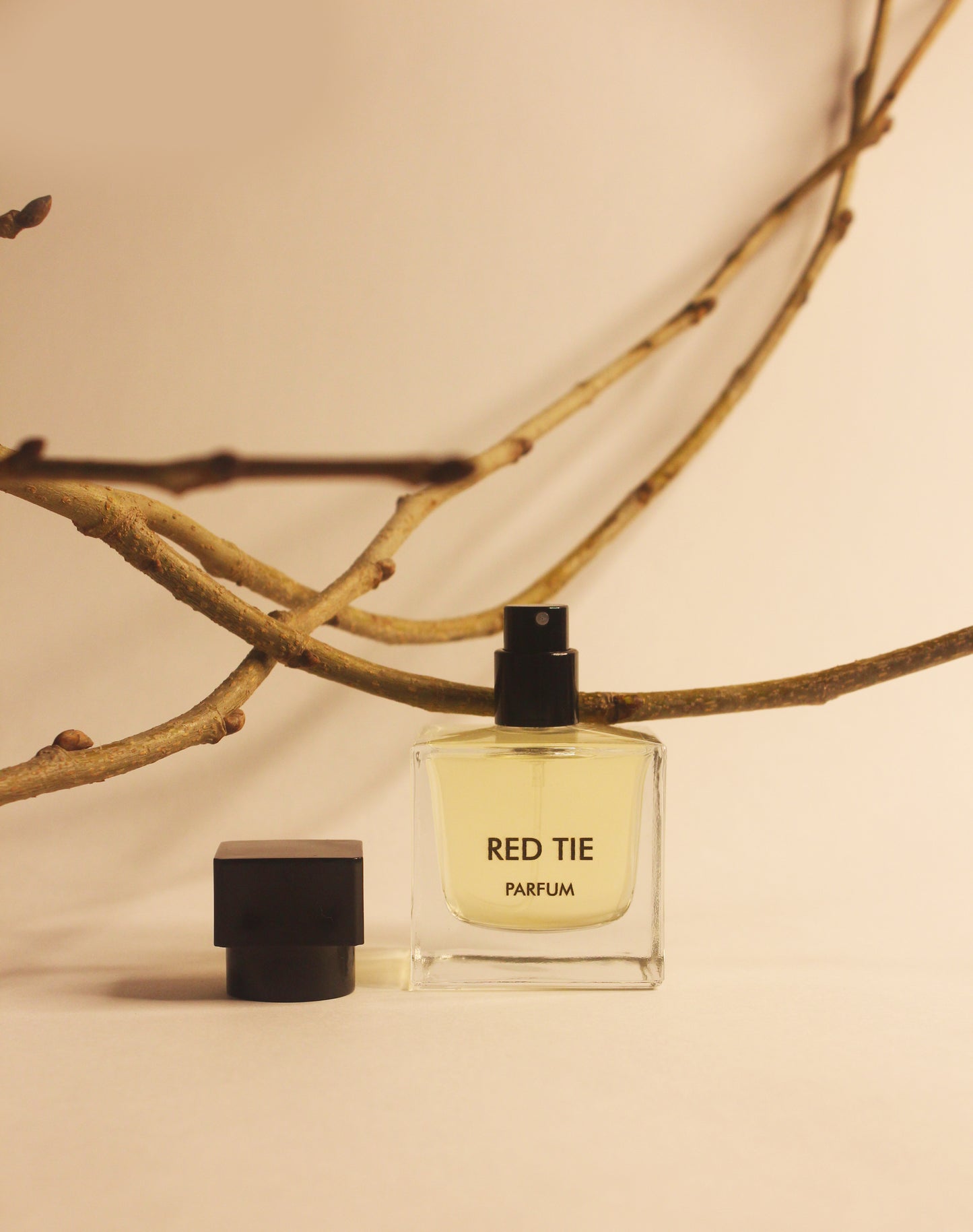 Red Tie - Inspired by Apres La’Amour TK no.4