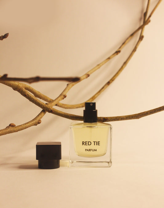 Red Tie - Inspired by Apres La’Amour TK no.4